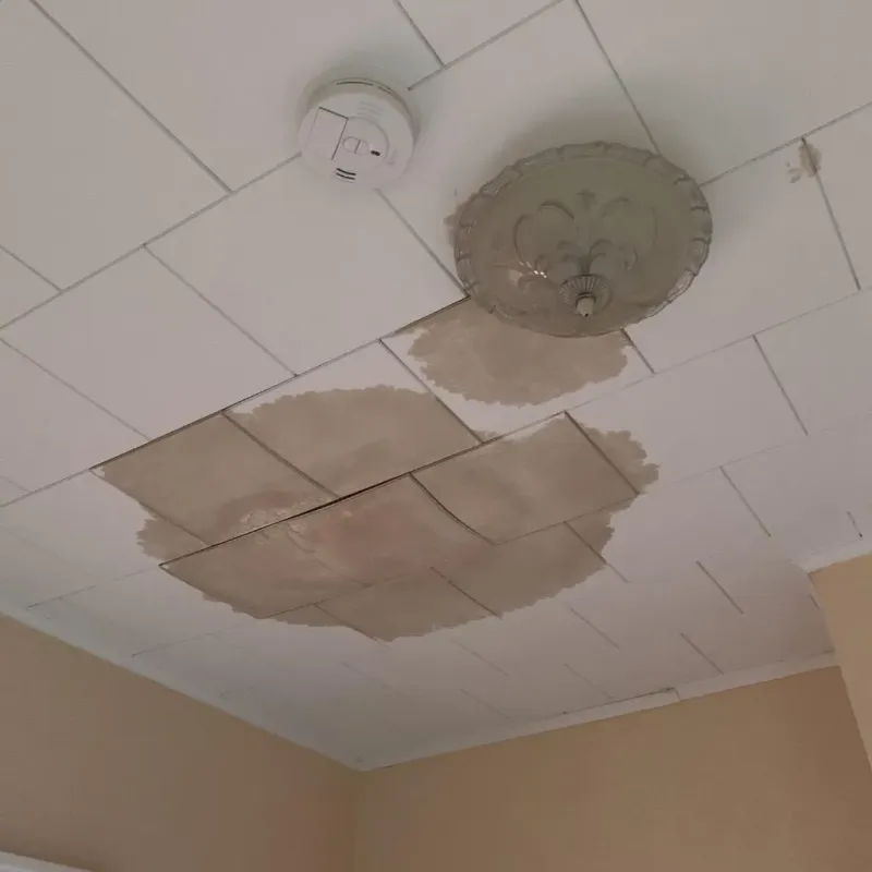 Ceiling Water Damage Repair in Mastic Beach, NY